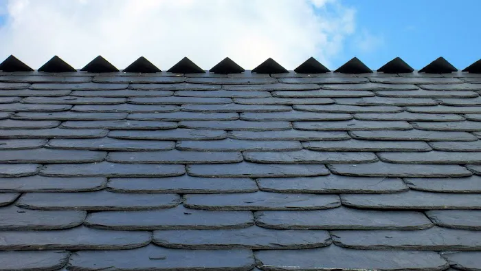 Fania Roofing Co Picture 8