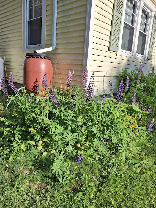 Gutter Service Of Maine Picture 5