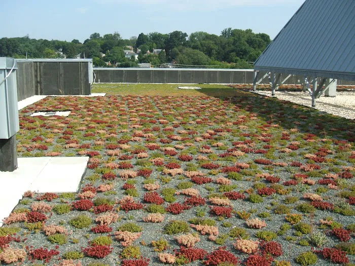 GSM Roofing Picture 5