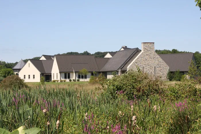 GSM Roofing Picture 10