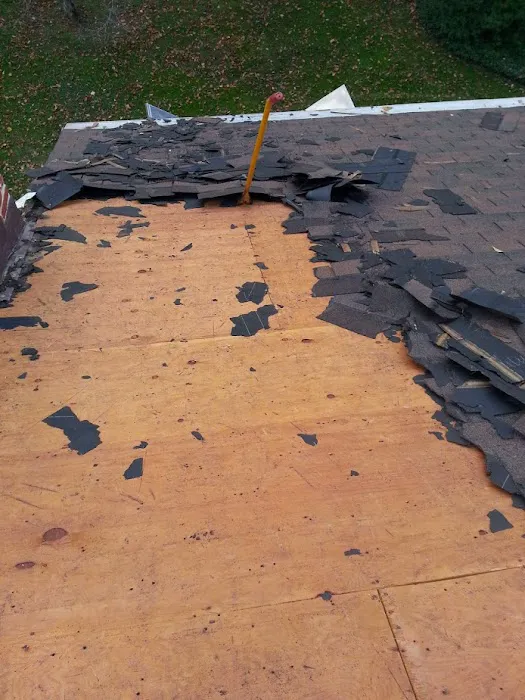 Benji's Roofing Picture 10