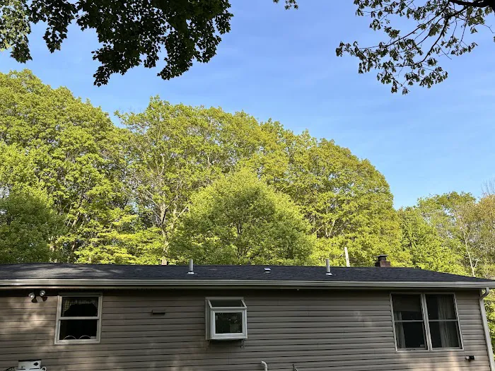 AAA Roofing Picture 1