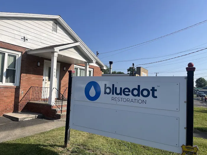 Blue Dot Restoration Picture 5