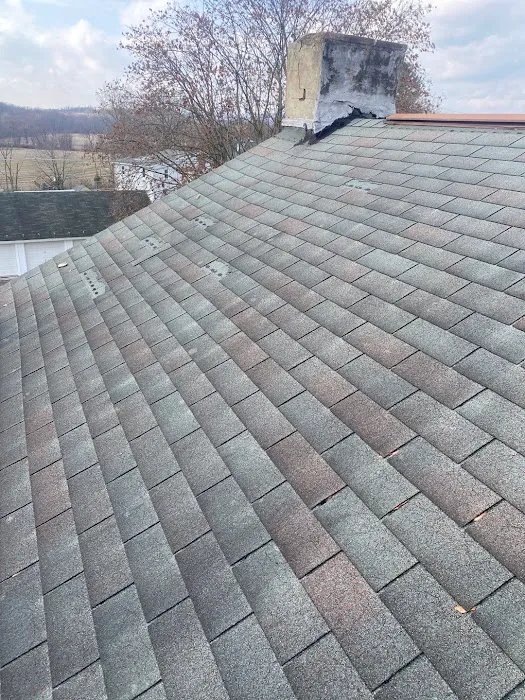 DAG Roofs Picture 2