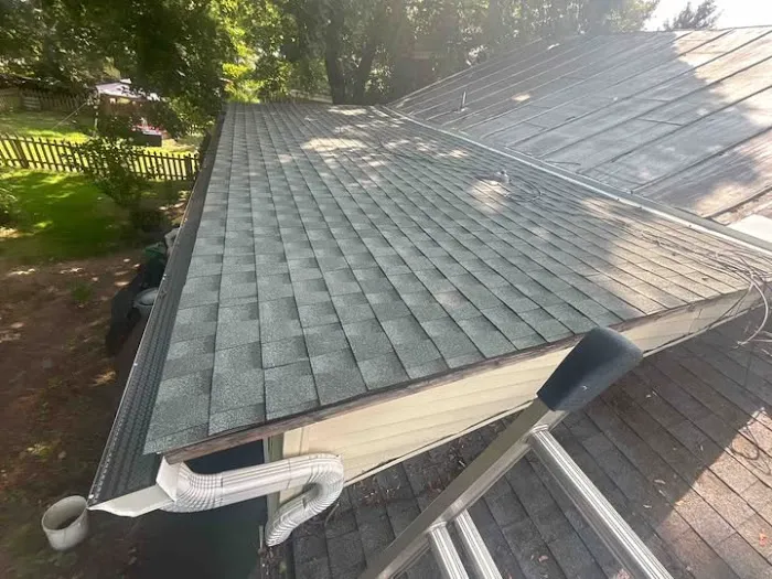 DePalma Roofing Picture 6