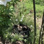 We Do Metal Roofs - Reading, PA District Office