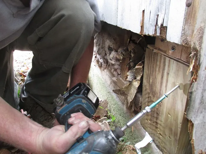 Rot Doctors Picture 1