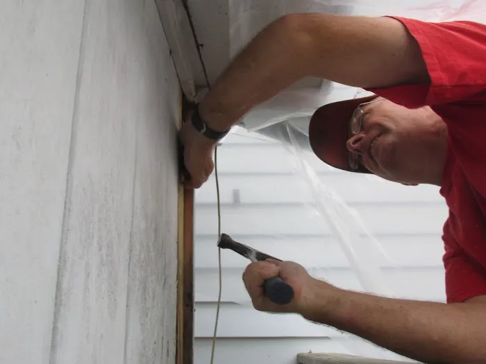 Rot Doctors Picture 4