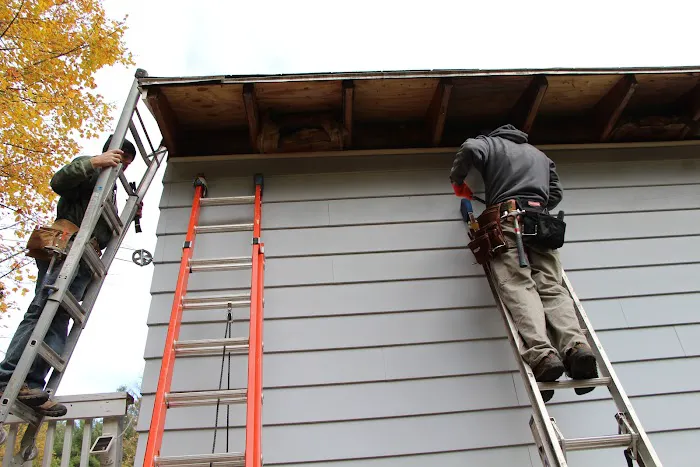 Rot Doctors Picture 2