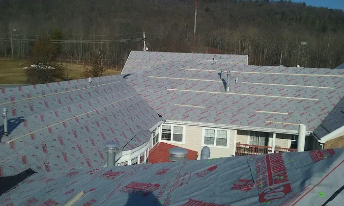 Brink Roofing Picture 6