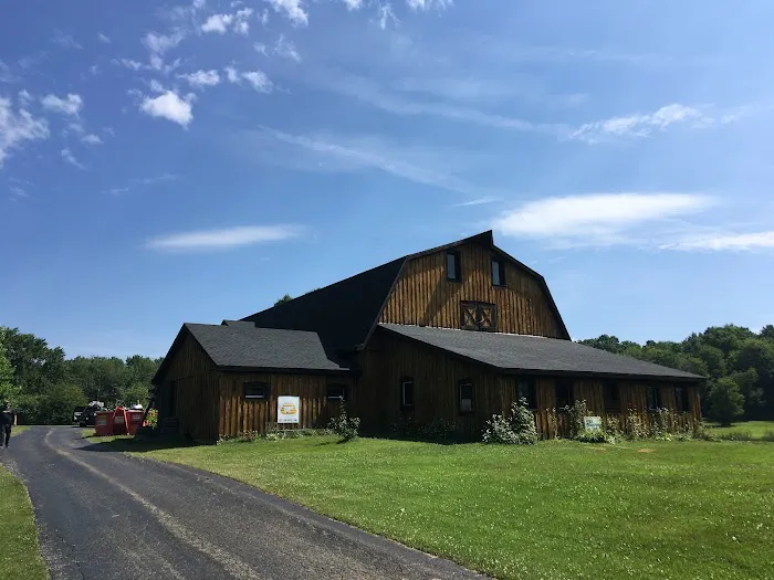 EB Builders Roofing and Renovations Picture 5