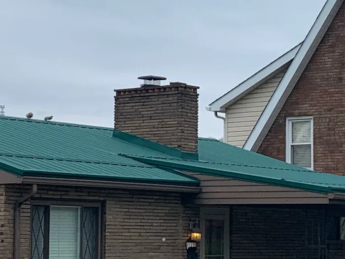 HHI Roofing Inc Picture 3