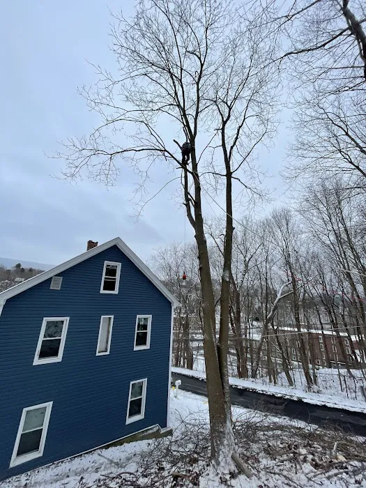 TM Roofing & Siding Picture 5