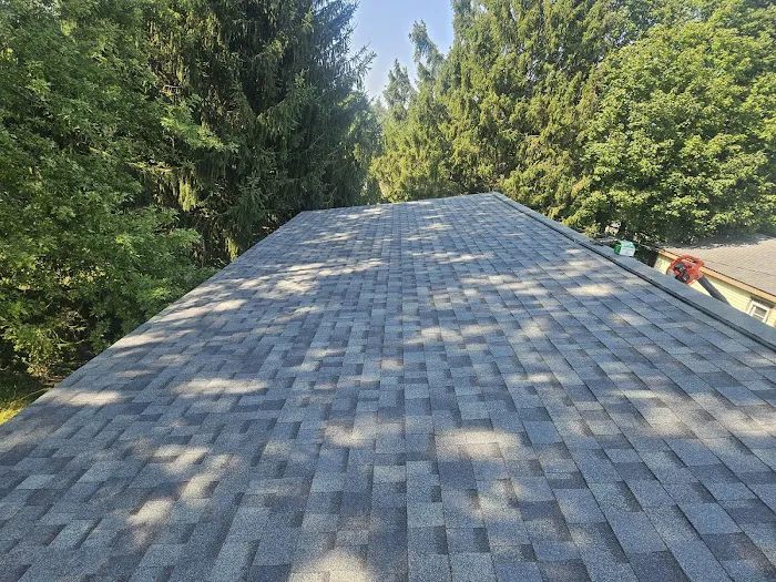 Monroy's Roofing & Exteriors Picture 3