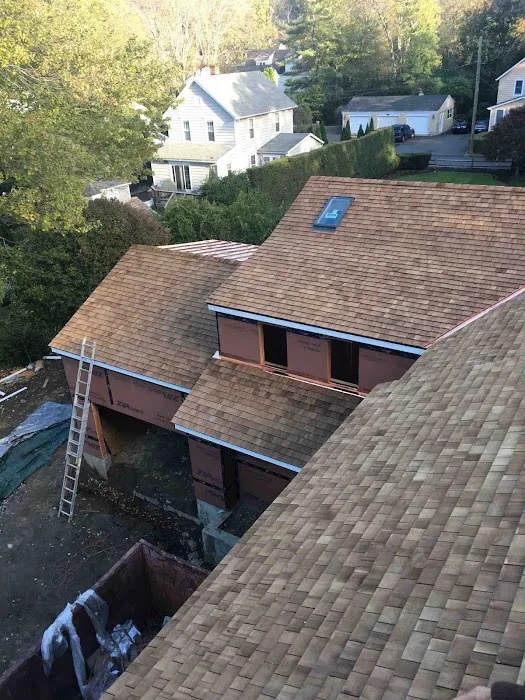 Marquez Roofing Picture 1