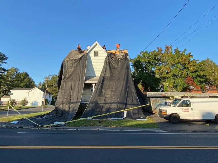 Easy Roofing Picture 6