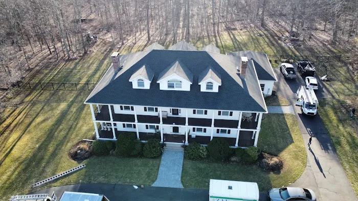 Easy Roofing Picture 4