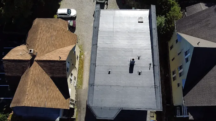 Easy Roofing Picture 9