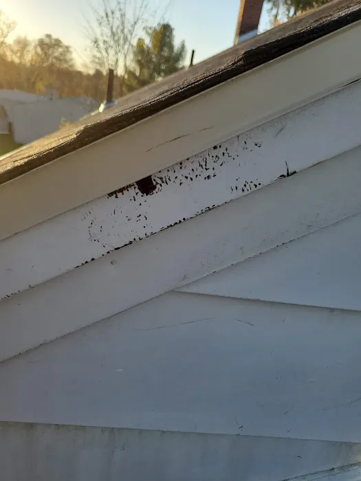 Sky Roofing Picture 1