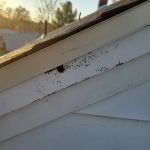 Sky Roofing