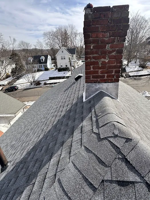 Thony Roofing & Restoration Llc. Picture 5