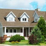 Shalon Construction llc