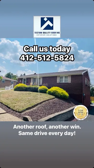 Tectum Quality Roofing Picture 1