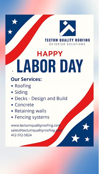 Tectum Quality Roofing Picture 4