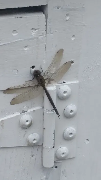 East Coast Home Improvement & Repairs Picture 6