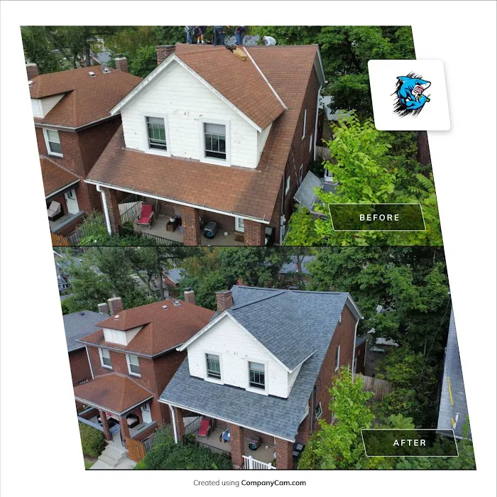 Apolinar Roofing Picture 4