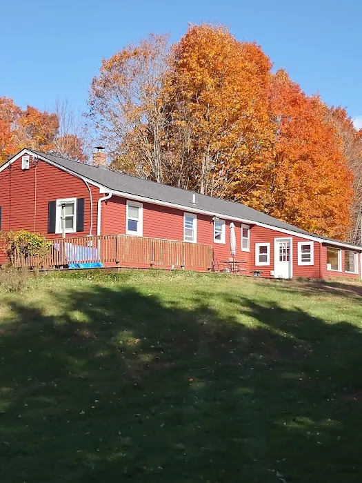 Roofers Elite Picture 8