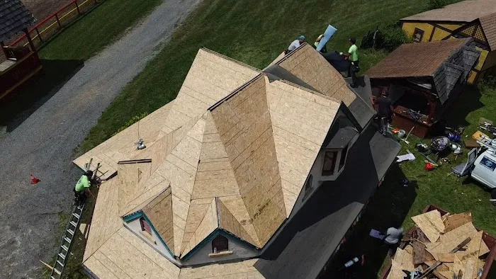 Planet Roof Picture 6