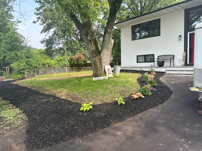 Mario M Home improvement Picture 1