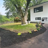 Mario M Home improvement ico