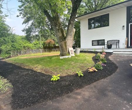 Mario M Home improvement