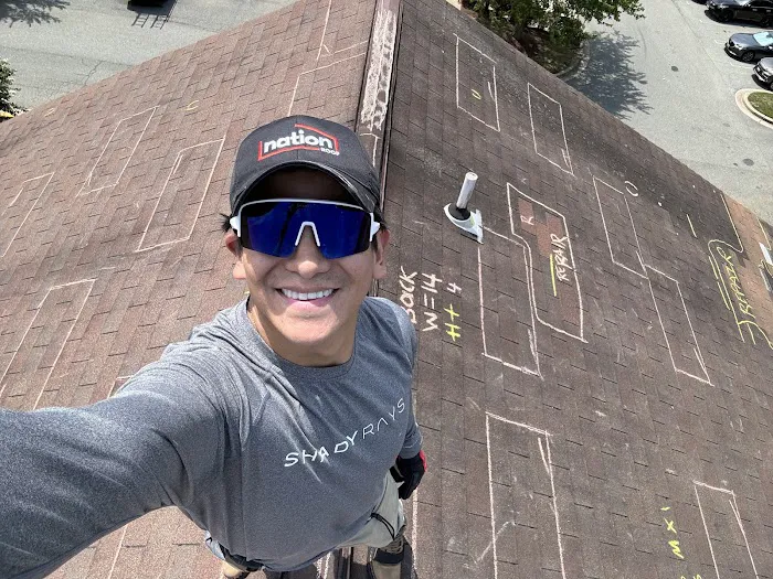 Nation Roof Picture 6