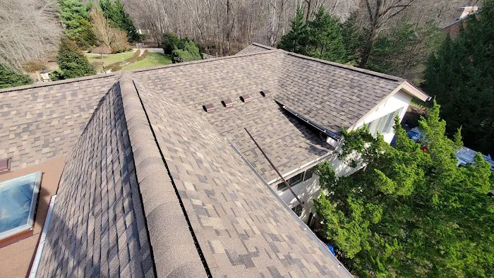 Nation Roof Picture 5