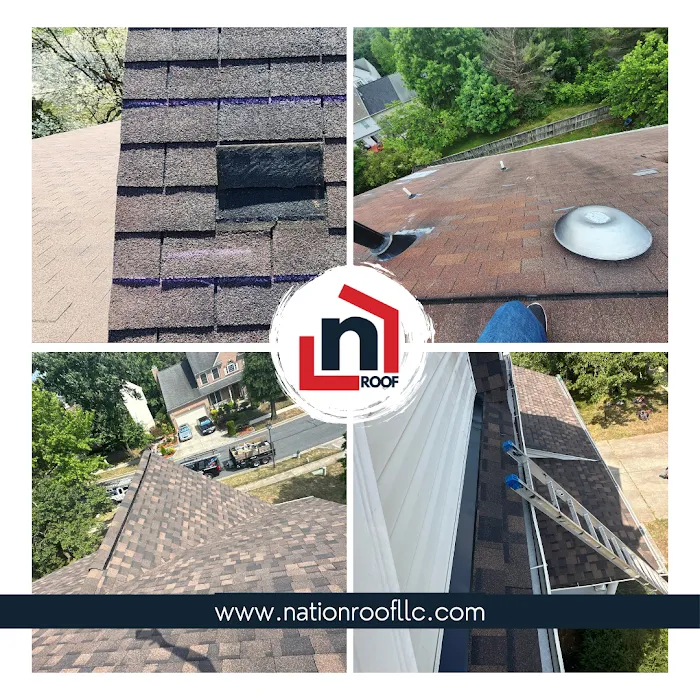 Nation Roof Picture 8