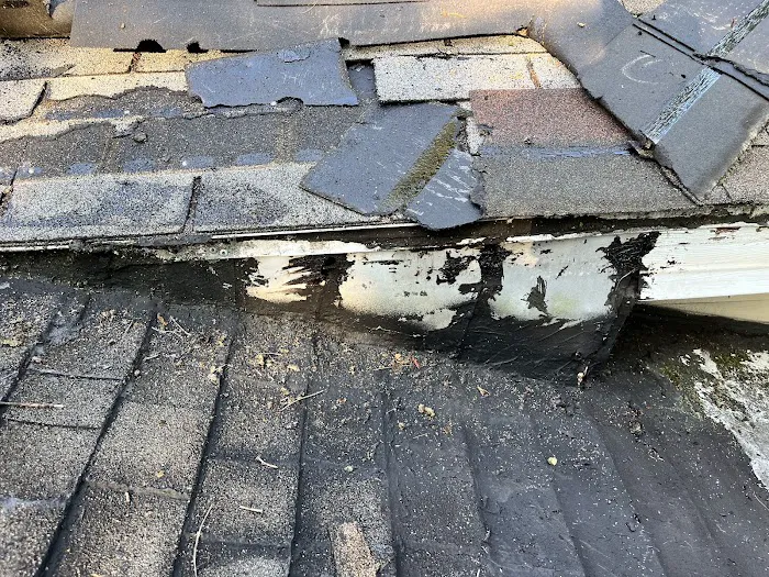 LFM Roofing LLC Picture 3