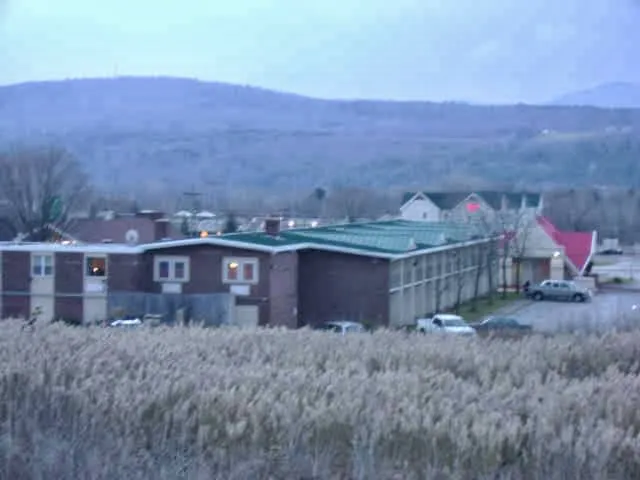 Shane's Roofing Picture 1