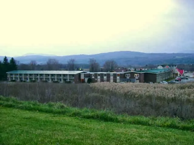 Shane's Roofing Picture 7