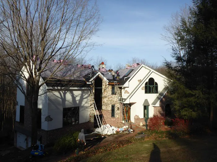 Vera Roofing Picture 4