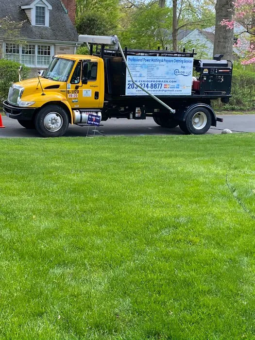 CERIOS LLC Picture 7