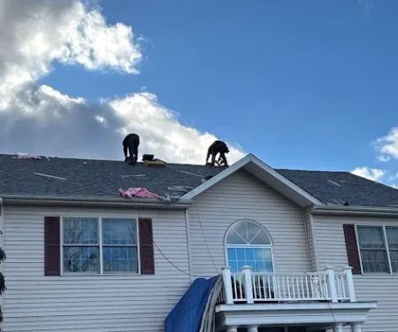 Xpert Roofing Pro