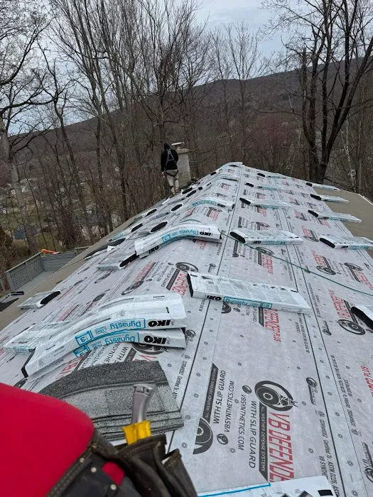 Xpert Roofing Pro Picture 9