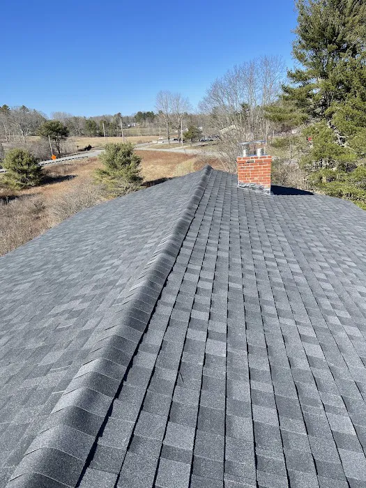BFR Roofing Picture 1