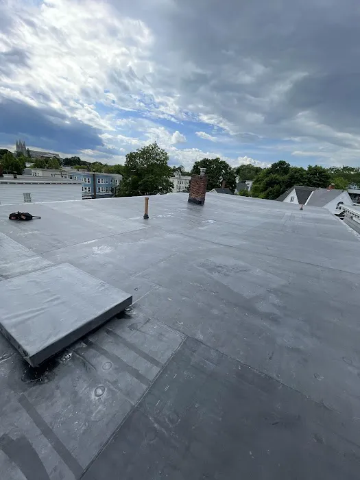 BFR Roofing Picture 4