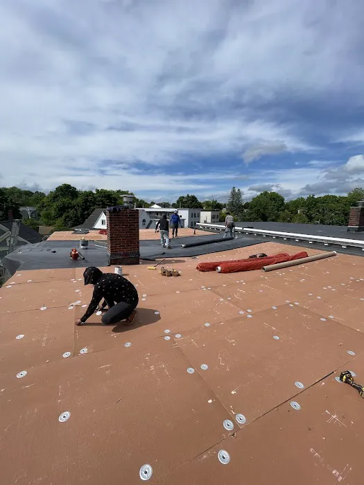 BFR Roofing Picture 9