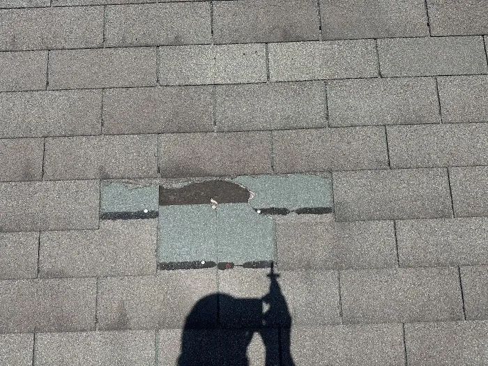 Rapid Roof Picture 2
