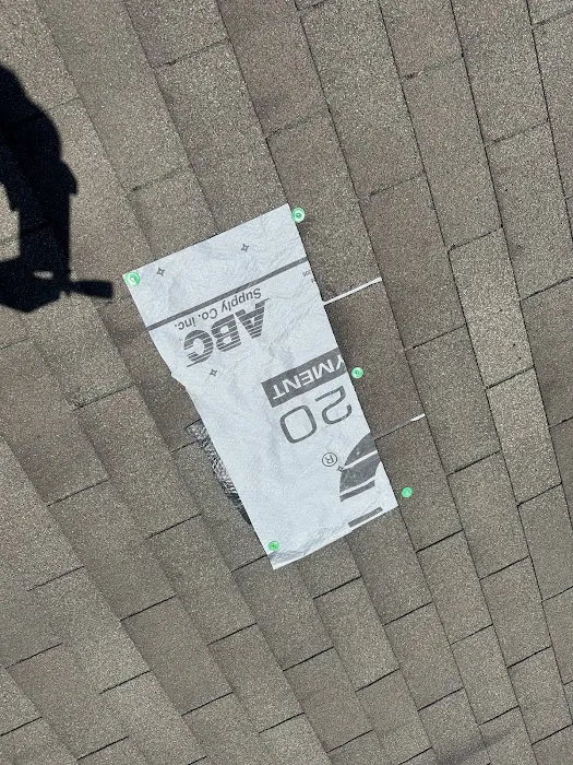 Rapid Roof Picture 7